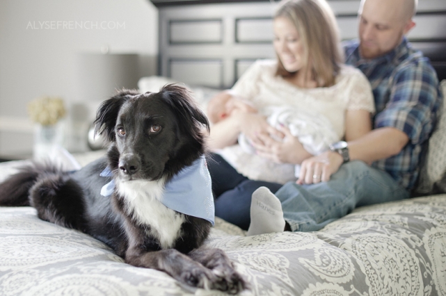 Guillemette Newborn Lifestyle_Houston Family Portrait Photographer_03