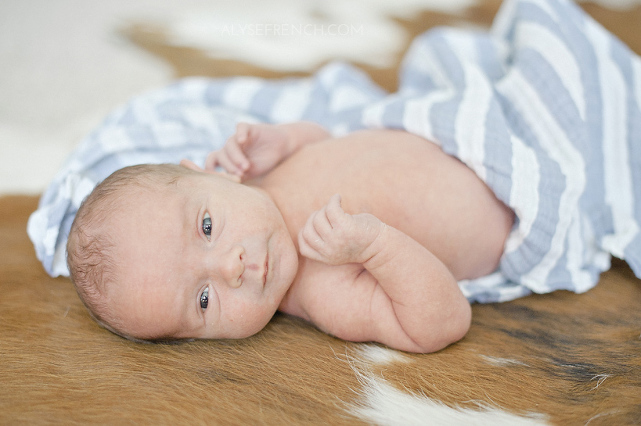 Leatherwood Newborn Lifestyle_Houston Family Portrait Photographer_01